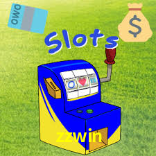zzwin